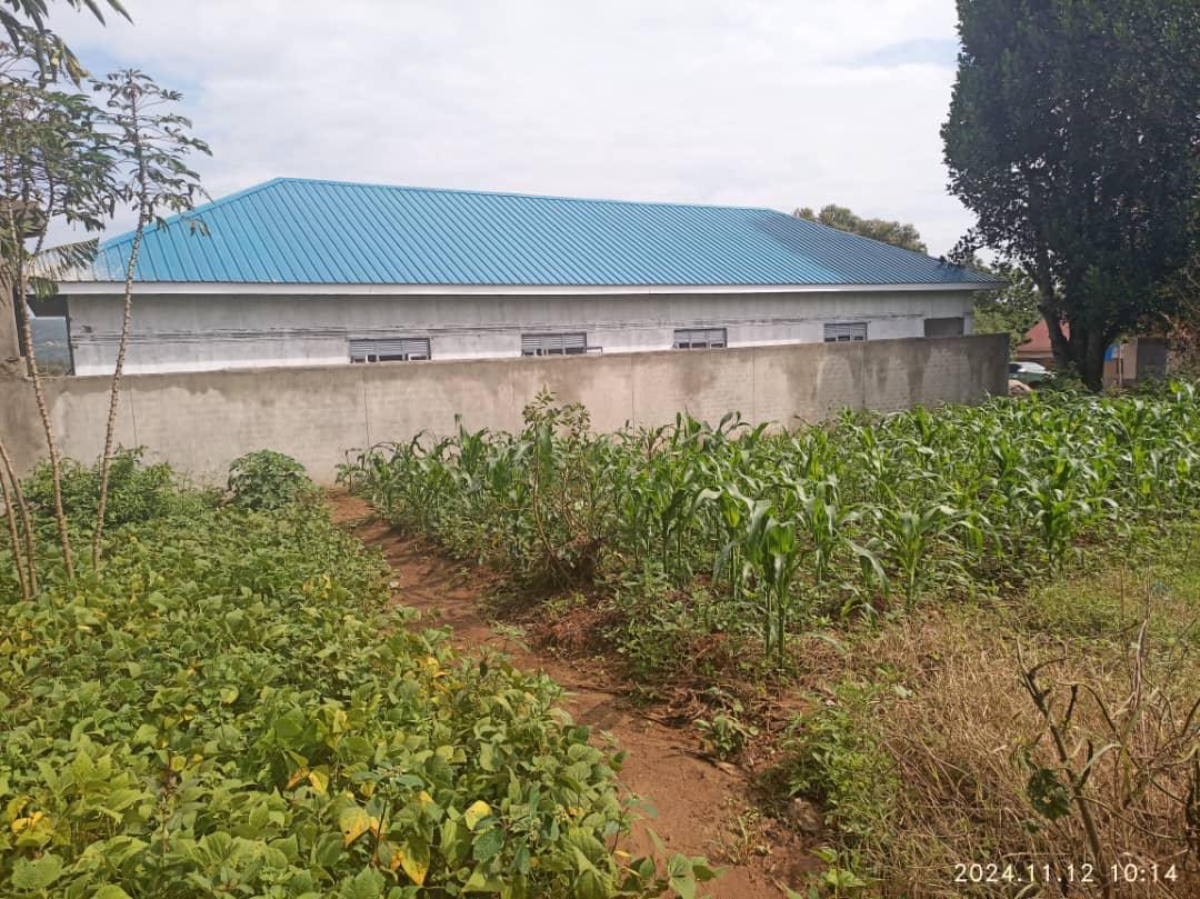 MTN and Airtel Modernisation Works